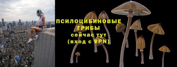 амф Богородицк