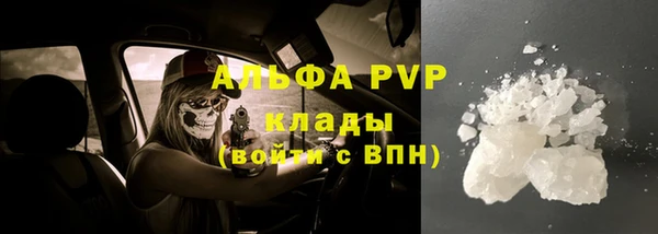 амф Богородицк