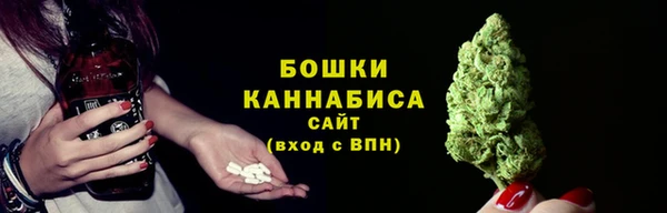 соль ск Богданович